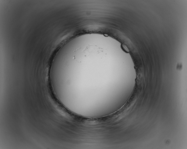 X0000101390454200807071009