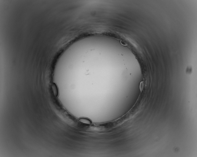 X0000101390455200807071009