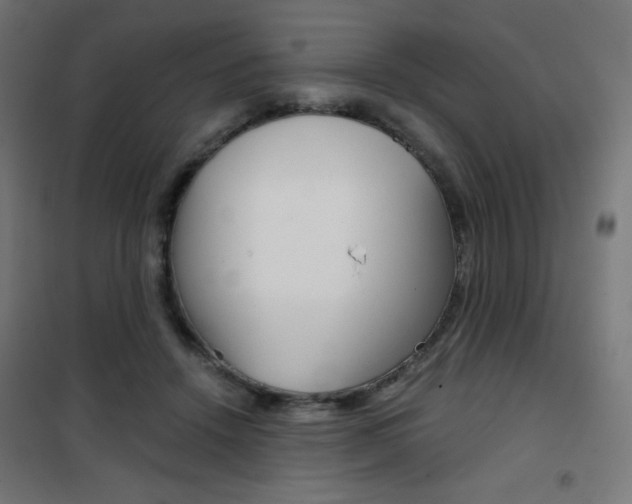 X0000101390456200807071009