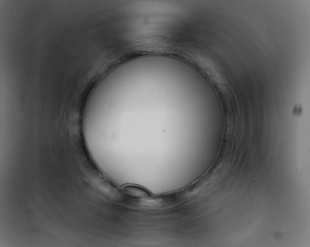 X0000101390457200807071009