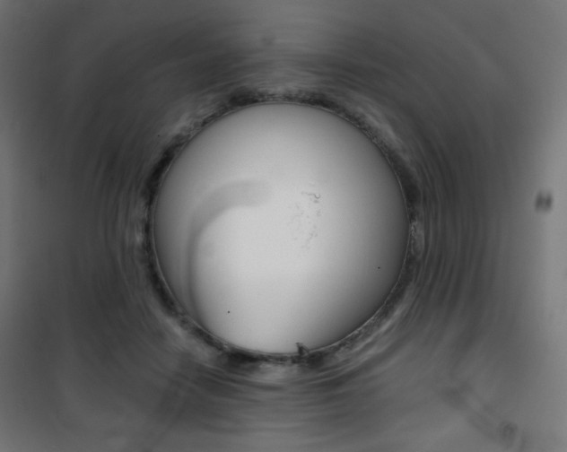 X0000101390458200807071009