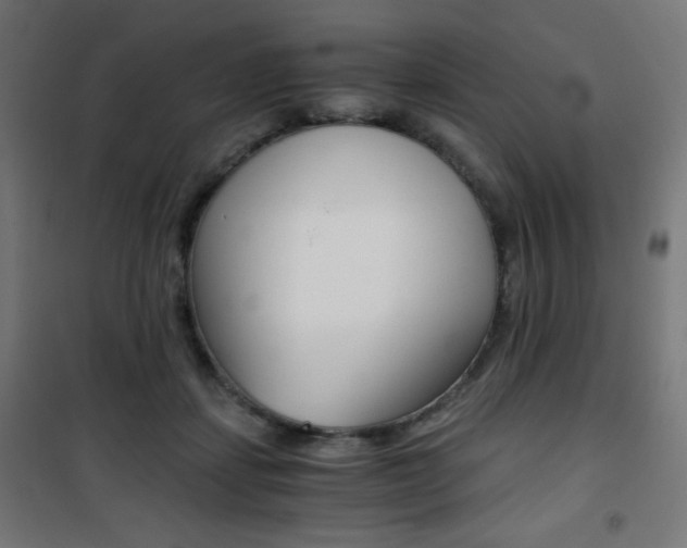 X0000101390459200807071009