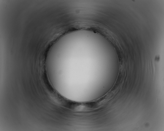 X0000101390460200807071009