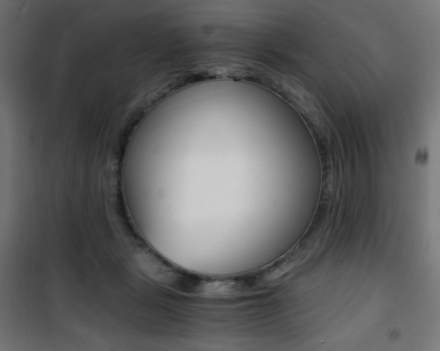X0000101390461200807071009