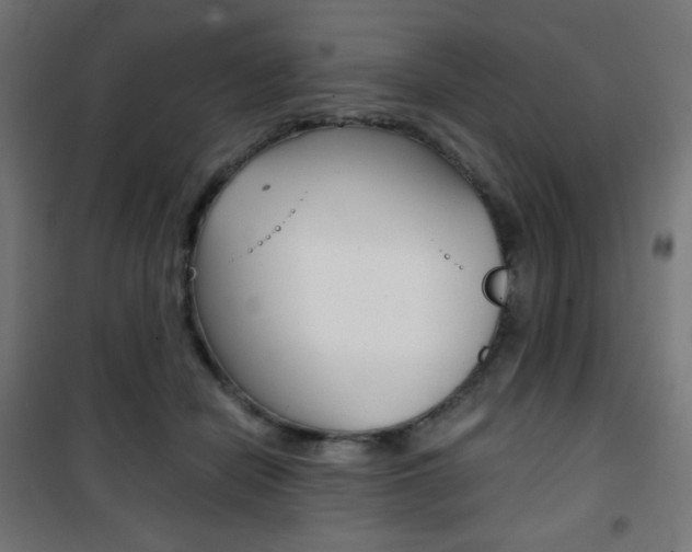 X0000101390462200807071009