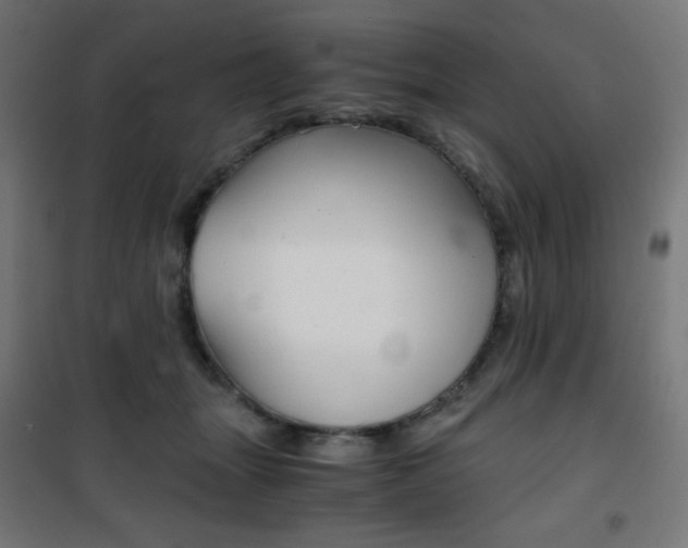 X0000101390463200807071009