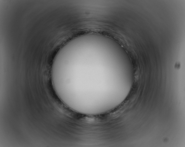 X0000101390464200807071009