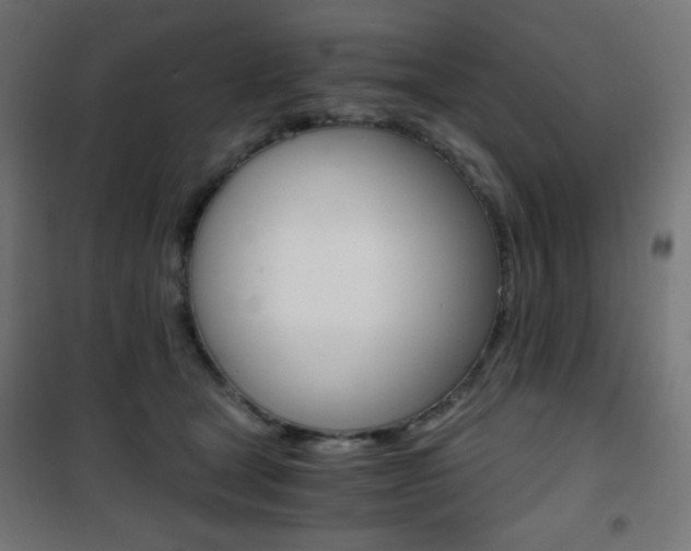 X0000101390465200807071009