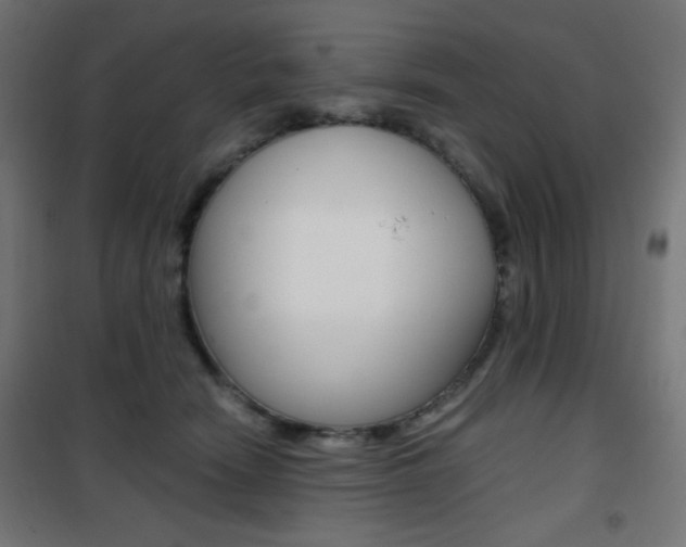 X0000101390466200807071009