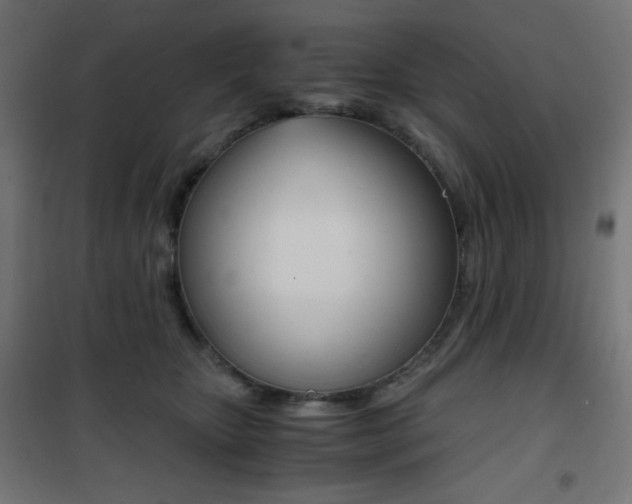 X0000101390467200807071009