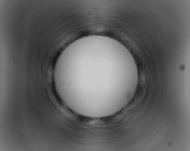 X0000101390468200807071009