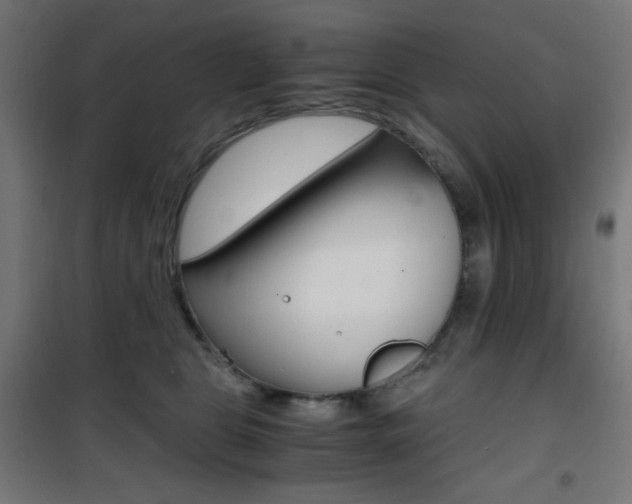 X0000101390469200807071009