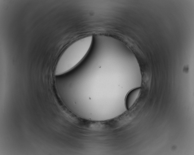 X0000101390470200807071009