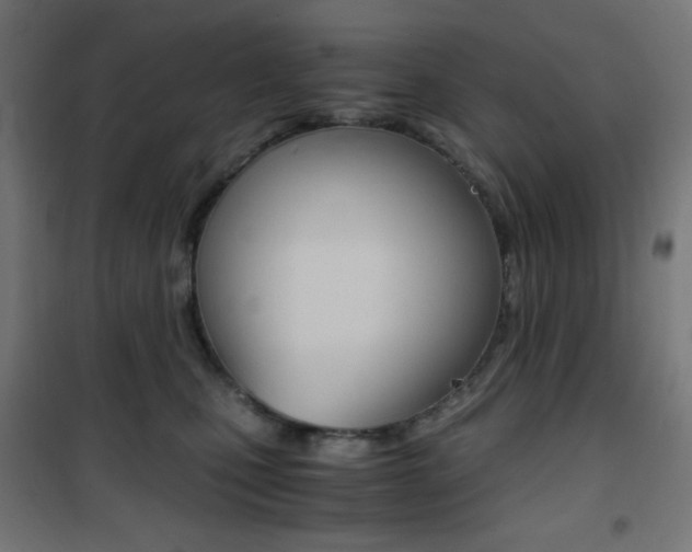 X0000101390471200807071009
