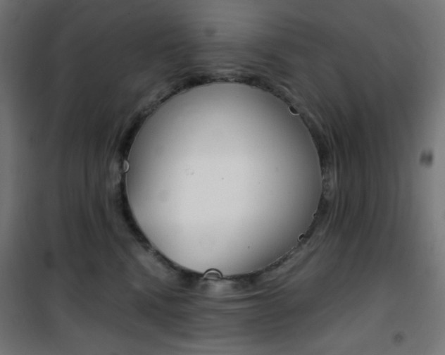 X0000101390472200807071009