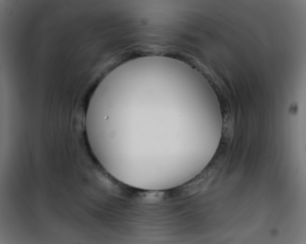 X0000101390474200807071009
