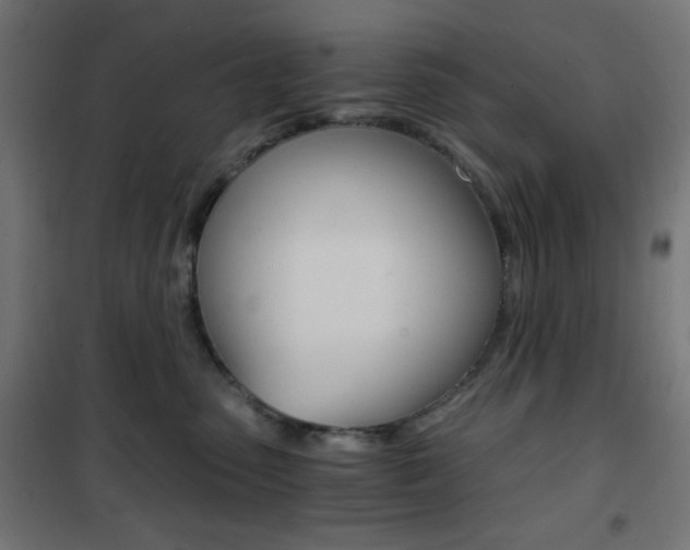 X0000101390475200807071009