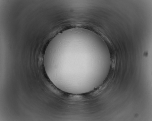 X0000101390476200807071009