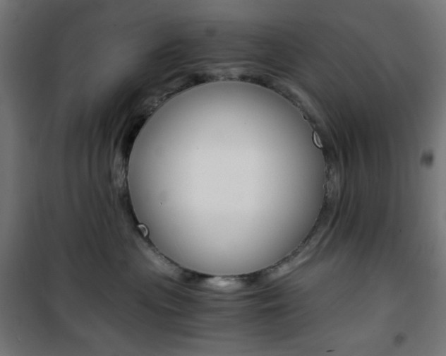 X0000101390477200807071009