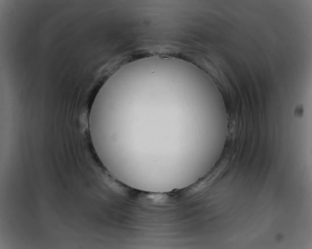 X0000101390478200807071009