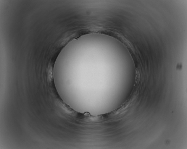 X0000101390479200807071009