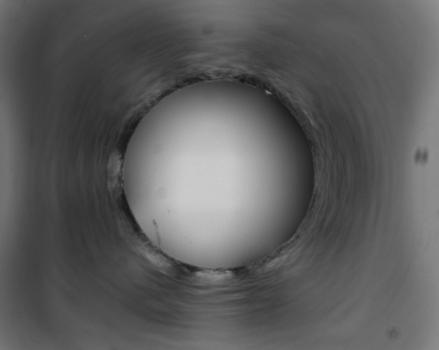 X0000101390480200807071009