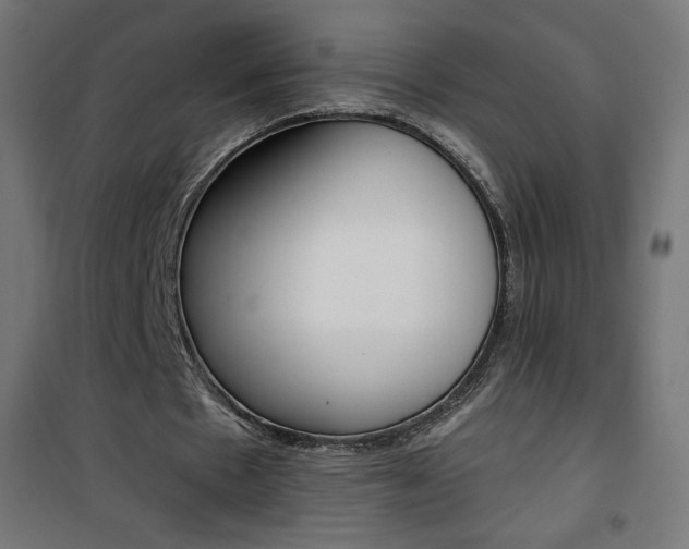 X0000101390481200807071008