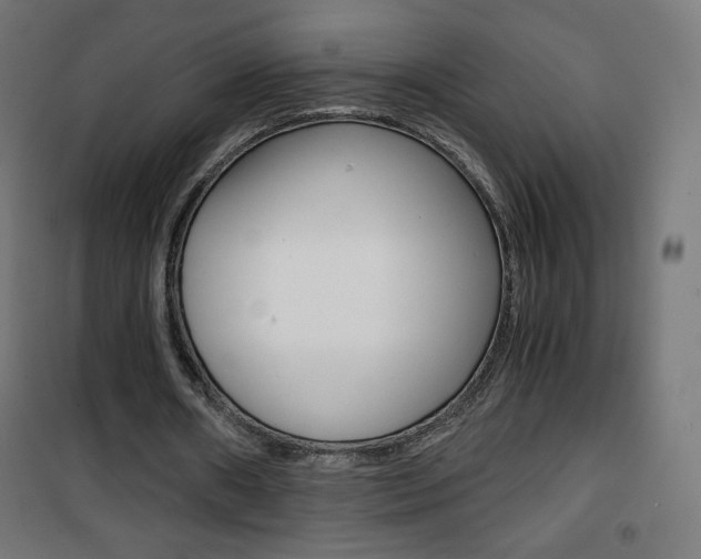 X0000101390482200807071008