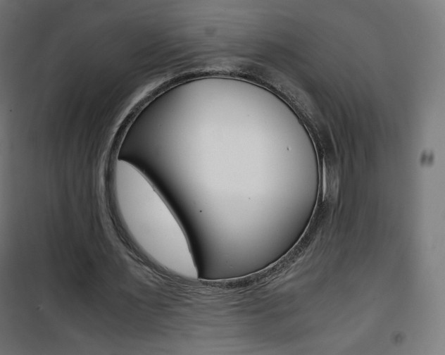 X0000101390483200807071008