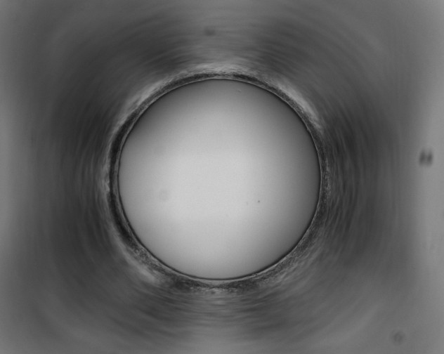 X0000101390486200807071008