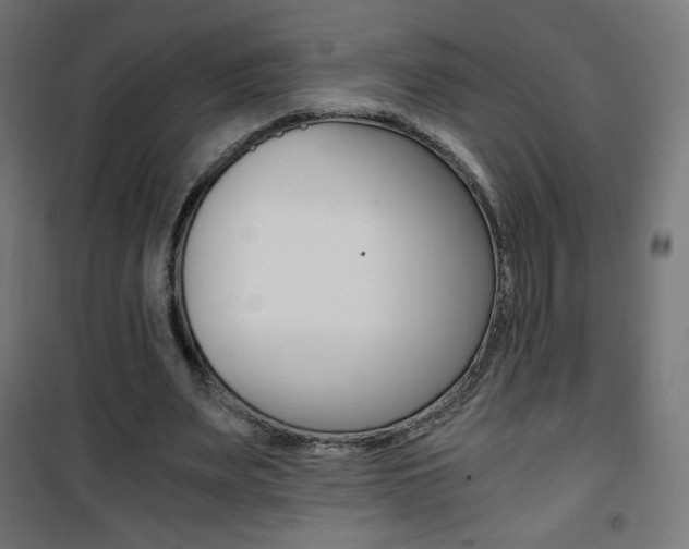 X0000101390487200807071008