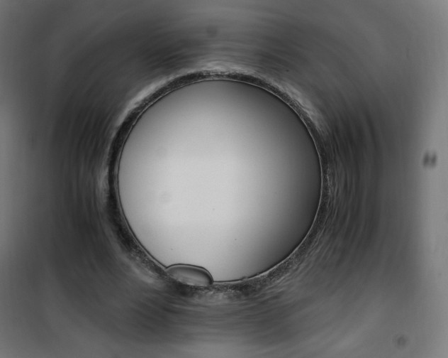 X0000101390488200807071008