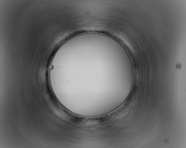 X0000101390491200807071008
