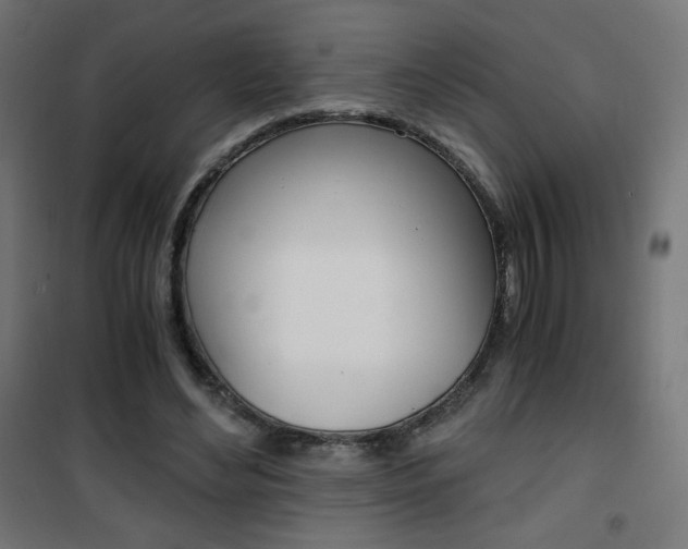 X0000101390492200807071008