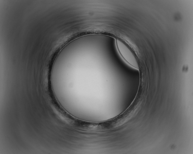 X0000101390493200807071008