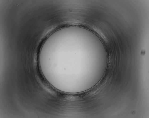 X0000101390494200807071008