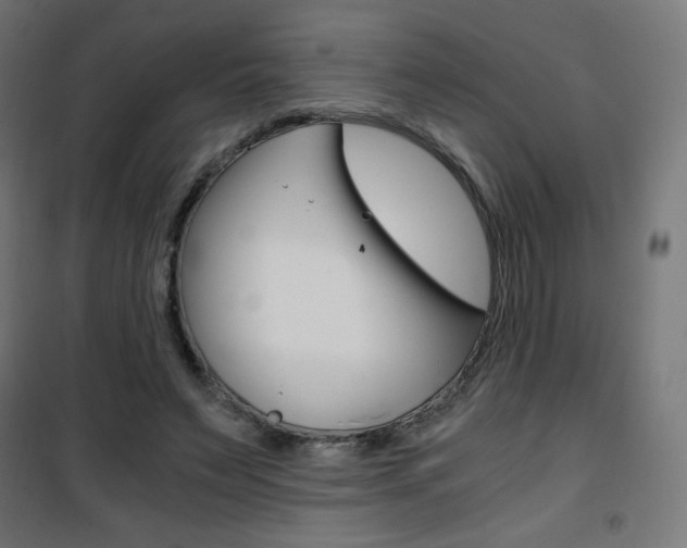 X0000101390495200807071008
