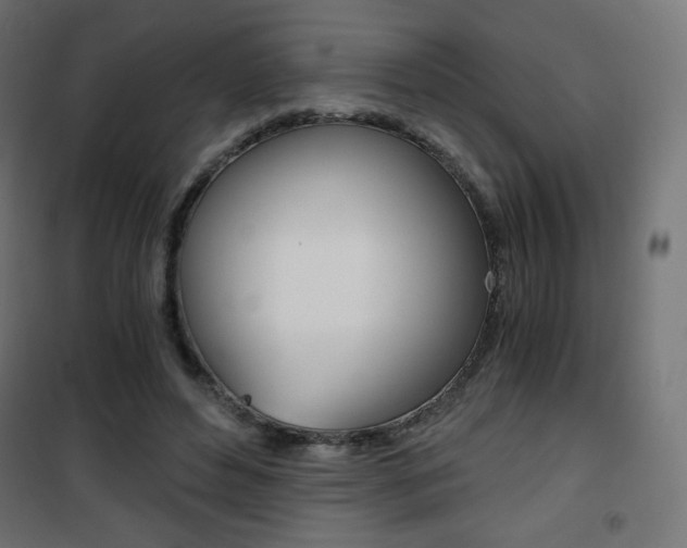 X0000101390496200807071008