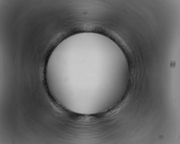 X0000101390497200807071008