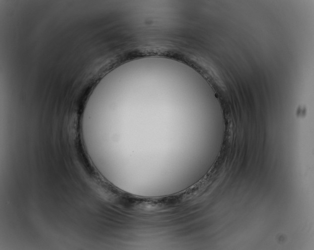 X0000101390498200807071008