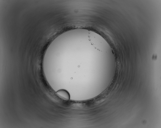 X0000101390499200807071008