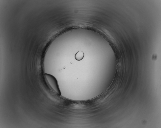 X0000101390500200807071008