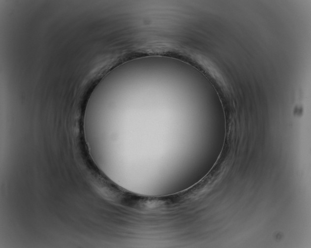 X0000101390501200807071008