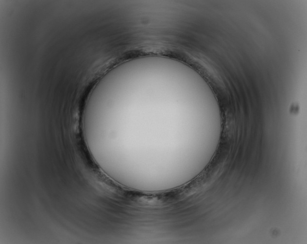 X0000101390502200807071008
