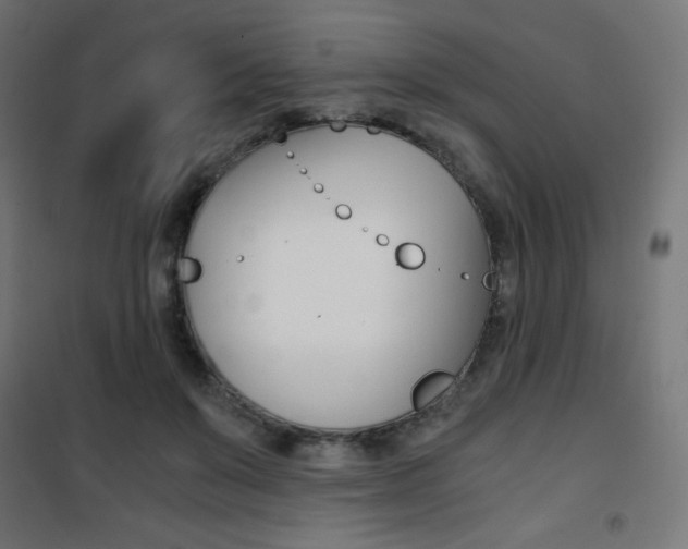 X0000101390503200807071008