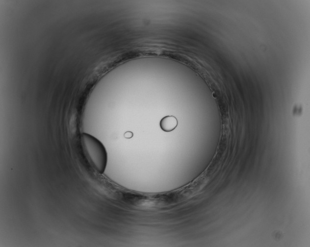 X0000101390504200807071008