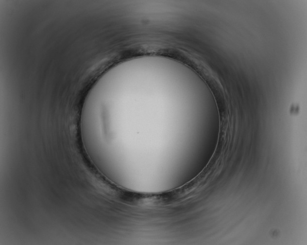 X0000101390505200807071008