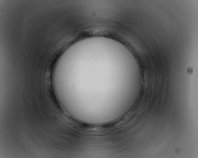 X0000101390506200807071008