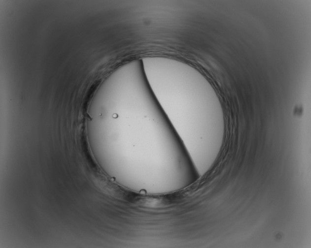 X0000101390507200807071008