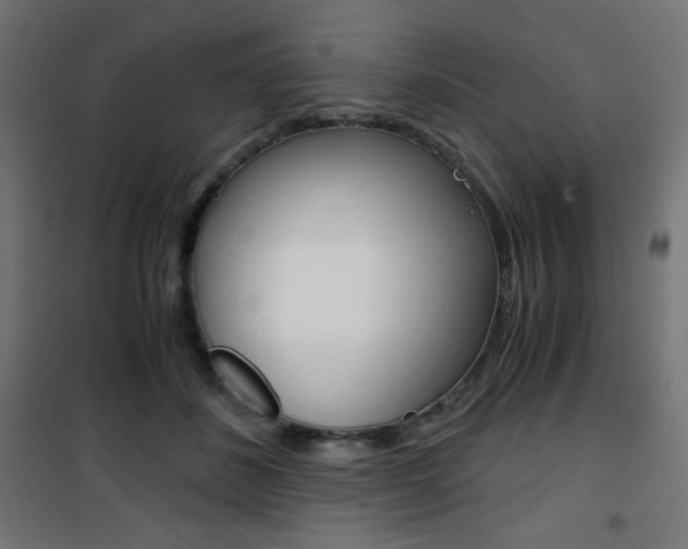 X0000101390508200807071008